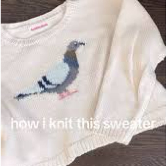DISO JAMIE LERNER X EMMA CHAMBERLAIN X WARBY PARKER PIGEON SWEATER DO NOT BUY!!! - Picture 3 of 4